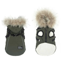 Teddy Bichon Pet Cotton Coat for Autumn and Winter