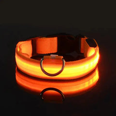Glow-in-the-Dark Pet Collar for Safety & Visibility