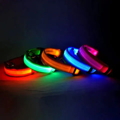 Glow-in-the-Dark Pet Collar for Safety & Visibility