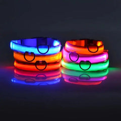 Glow-in-the-Dark Pet Collar for Safety & Visibility
