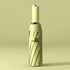 Auto-Open Umbrella