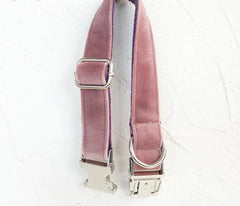 Adjustable Pet Dog Collar