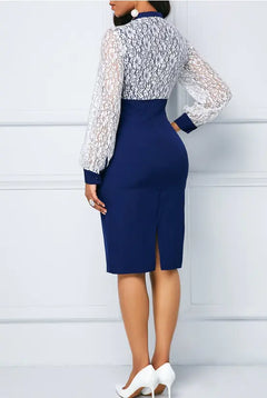 Elegant Lace Office Dress