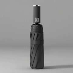 Auto-Open Umbrella