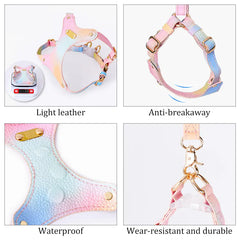 Adjustable Waterproof Leather Pet Harness for Small Dogs