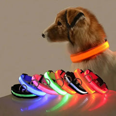 Glow-in-the-Dark Pet Collar for Safety & Visibility