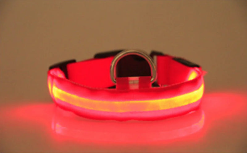 Glow-in-the-Dark Pet Collar for Safety & Visibility