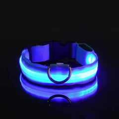 Glow-in-the-Dark Pet Collar for Safety & Visibility