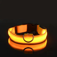Glow-in-the-Dark Pet Collar for Safety & Visibility