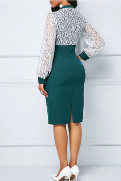 Elegant Lace Office Dress