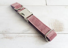 Adjustable Pet Dog Collar