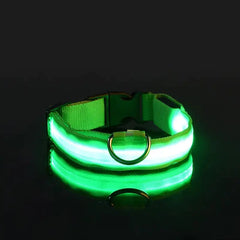 Glow-in-the-Dark Pet Collar for Safety & Visibility