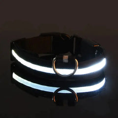 Glow-in-the-Dark Pet Collar for Safety & Visibility