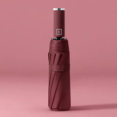 Auto-Open Umbrella