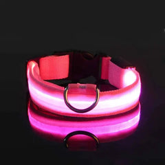 Glow-in-the-Dark Pet Collar for Safety & Visibility